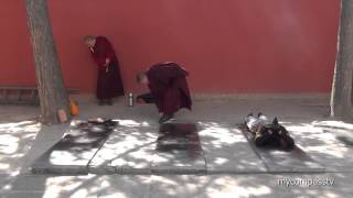 Tibetan Buddhist Prostration  Wǔtái China [upl. by Luana328]