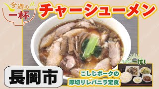 長岡市：麺ゃ けん【中越県央エリアラーメン情報】 [upl. by Lindell864]