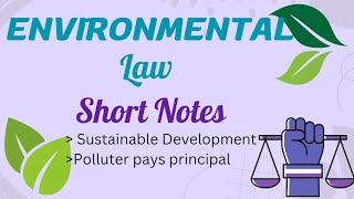 Sustainable development  Polluter pays principal  Environmental Law [upl. by Mccready]