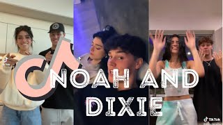 Noah Beck And Dixie D’amelio TikTok Compilation 2021 [upl. by Kattie]