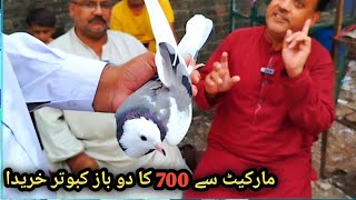 Market se dobaz kabootar khareda  amjadaliofficial528 [upl. by Ennahs]