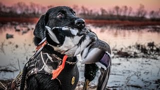 The X Public Land Duck Hunting in Kansas [upl. by Sherfield434]