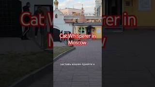 Cat Whisperer Challenge in Moscow travel vlog fyp [upl. by Aitenev564]