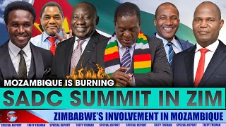 SADC leaders coming to Zimbabwe as ZANU PF quotunintentionallyquot brings chaos in the region [upl. by Arsi]