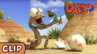 Oscars Oasis  Baby Lizard  HQ  Funny Cartoons [upl. by Ylagam]