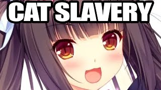 we SHOULDNT have played NEKOPARA [upl. by Lain]