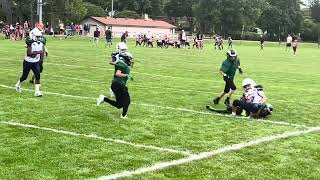 Arlington Cowboys 11U vs Elmhurst  Palatine Jamboree [upl. by Kristel]