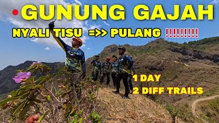 Tipis Nyali Skip  MBoLang Gunung Gajah Joli dan Punggung Naga [upl. by Ardnasac]