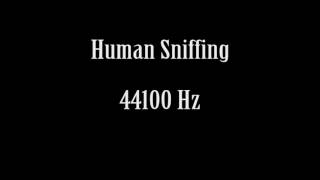 Human Sounds Sniff Sniffing Nose Snort Sound Effect Free High Quality Sound FX [upl. by Racso]