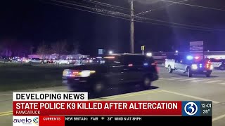 VIDEO K9 killed in Pawcatuck officerinvolved shooting [upl. by Wylde]