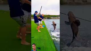 Village Traditional Bamboo Tools Polo Fishing Video Part300 fishingshorts​ fishing​ shorts [upl. by Bryanty]