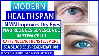 NMN Improves Dry Eyes  NAD Reduces Senescence in Stem Cells  Caffeine Lengthens Telomeres  NS19 [upl. by Adihaj997]