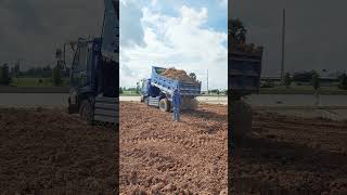 5 TN Dump Truck Unloading Land EP29shorts [upl. by Tehr]