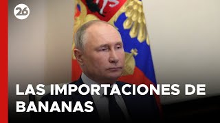 Llegó el castigo de Putin a Ecuador por quotapoyar a Ucraniaquot [upl. by Feliks]