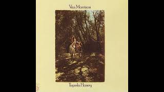 Van Morrison  Tupelo Honey 1971 Part 3 Full Album [upl. by Emmit881]