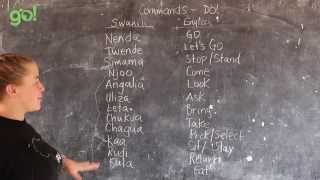 Video 20  GO presents BEST Swahili Tutorials  COMMANDS  DO live from Tanzania [upl. by Ateuqram]