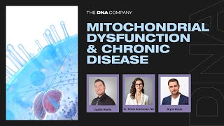 Mitochondrial Dysfunction amp Chronic Disease [upl. by Ekoorb]