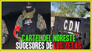 El Cartel del NORESTE  Los P3L1GR0SOS Sucesores de los ZETAS [upl. by Ycat]