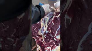 Fresh beef meat  Cutting beef meat beef meat 2 [upl. by Nasho]