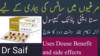 oxytetracycline capsules uses in Urdu oxytetracycline capsules benefits and side effects Dr Saif [upl. by Anitsim356]