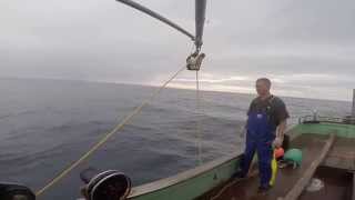 Craig Leith Catching Blue Cod [upl. by Mirilla]