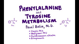 PhenylalanineTyrosine Metabolism and Disorders  CRASH Medical Review Series [upl. by Atinas151]