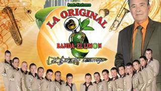 La Original Banda Limon 2013 mix [upl. by Narmak]