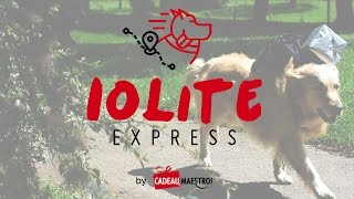 Livraison par chien  Iolite Express [upl. by Nossyla]