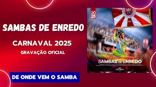 CD Sambas De Enredo Carnaval 2025  Gravação Oficial RJ  Grupo Especial [upl. by Fai885]