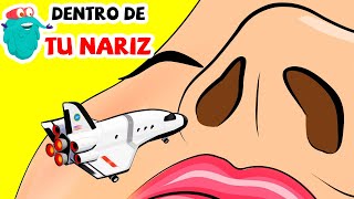 Un viaje en tu nariz  Ciencias para niños  Documentales en español [upl. by Fabiola]