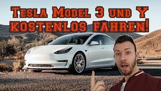 Tesla Model Y und 3 kostenlos fahren und mit Gewinn nach Dänemark  Skandinavien verkaufen [upl. by Audy]