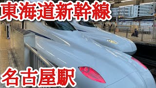 【東海道新幹線 名古屋駅 】 N700Sいくつ登場するのか検証8編成→名古屋散策配信 [upl. by Nomor]