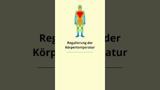 💧 Regulierung der Körpertemperatur – Dein körpereigener Kühlmechanismus 💧 [upl. by Egan]