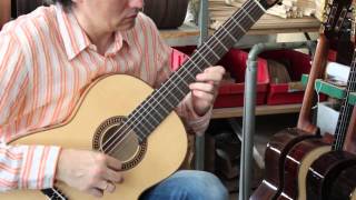 Hofner HM83 classical guitar demo [upl. by Pegma]