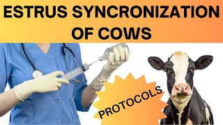 How Estrus Synchronization Can Supercharge Your Cattle Herd Uncover the Benefits Now [upl. by Yesiad]