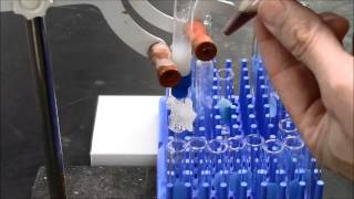 DEAE Sephacel Column Protein Purification via Ion Exchange [upl. by Jerrilyn]