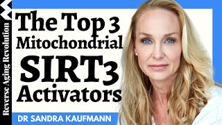 3 WAYS To Save Our Mitochondria amp TOP 3 Natural SIRT3 Activators  Dr Sandra Kaufmann Interview Clip [upl. by Laughry698]