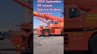 2024 September 09 rezayat Sparrow Arabian crane here [upl. by Dasie211]