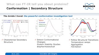 Basics of Protein Analysis and Secondary Structure Determination  FTIR Spectroscopy  Biosimilars [upl. by Asa]