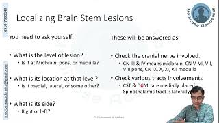 Locating Brainstem Lesion [upl. by Branch247]