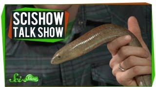 Spinal Posture amp A Legless Lizard SciShow Talk Show 13 [upl. by Anoiek]