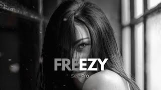 SEE Pro  FREEZY [upl. by Enneillij6]