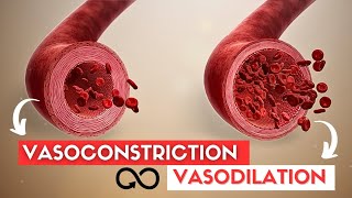 VASODILATION and VASOCONSTRICTION [upl. by Dnomder]