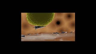 Immune Cell Eating Bacteria  opsonizationphagocytosis in 3D shorts [upl. by Aihsenod743]