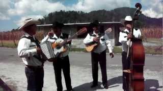 Grupo Norteño COVER Muchacho Alegre [upl. by Rosemary]