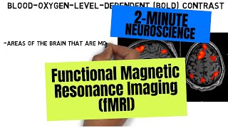 2Minute Neuroscience Functional Magnetic Resonance Imaging fMRI [upl. by Emmeram942]