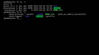 Customising the Linux terminal using bashrc environment variables and aliases [upl. by Tiemroth]