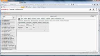 Import an Excel Spreadsheet into an Oracle 10g server 1 [upl. by Yztim452]