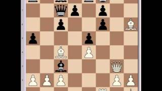 Garry Kasparov Vs Sergei Movsesian 2001 [upl. by Madda]