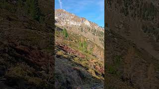 An amazing view point to Penken mountain in autumn 🍁 [upl. by Iruy863]